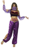 Person wearing a purple belly dancing costume on a white background