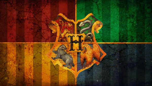 Men's Harry Potter costume banner