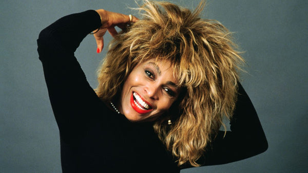 Tina Turner costume collection banner