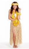 Hawaiian Hula