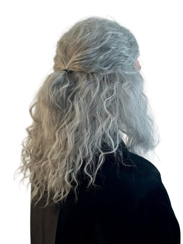 Witcher Warrior Wig Grey