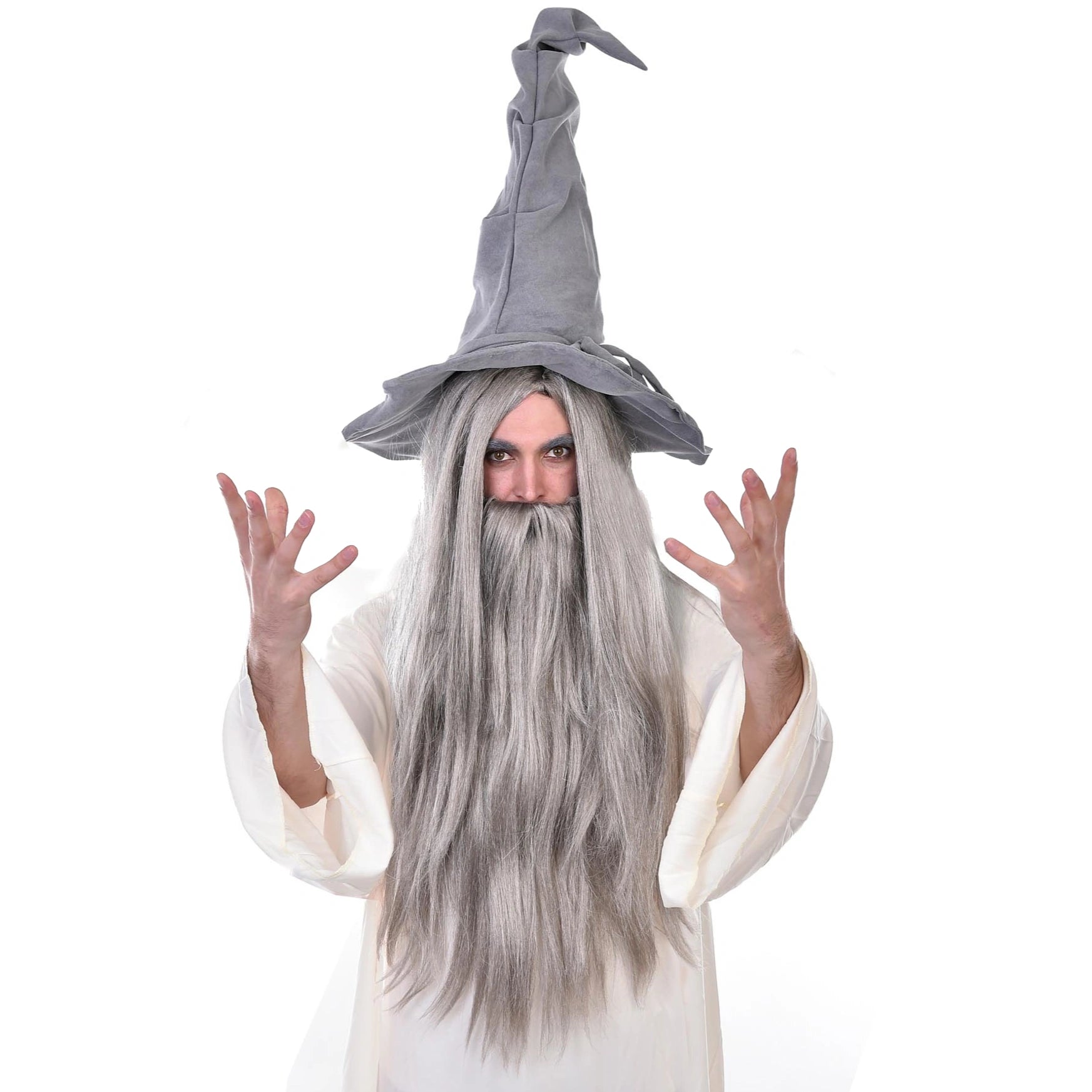 Buy Wizard Wig and Beard Grey