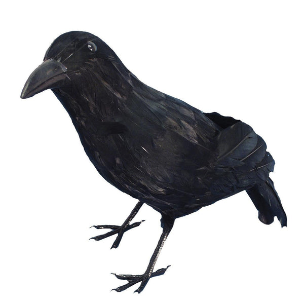 Feathered Crow Black