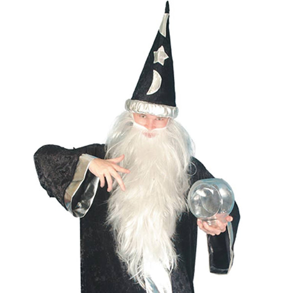 Wizard Beard & Hair