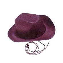 Cowboy hat in brown