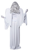 Back of grey cemetery angel dress with sleeves, wings and long wig