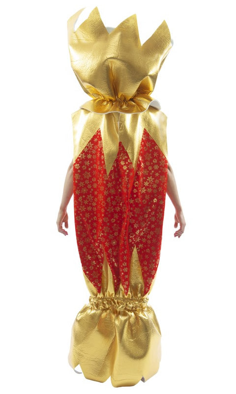 Back of red and gold Christmas cracker costume