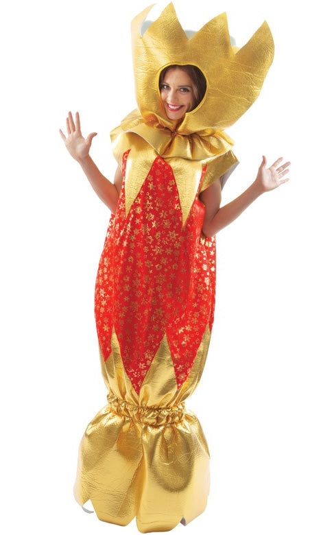Red and gold Christmas cracker costume