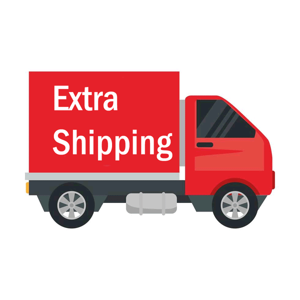 Extra shipping courier van