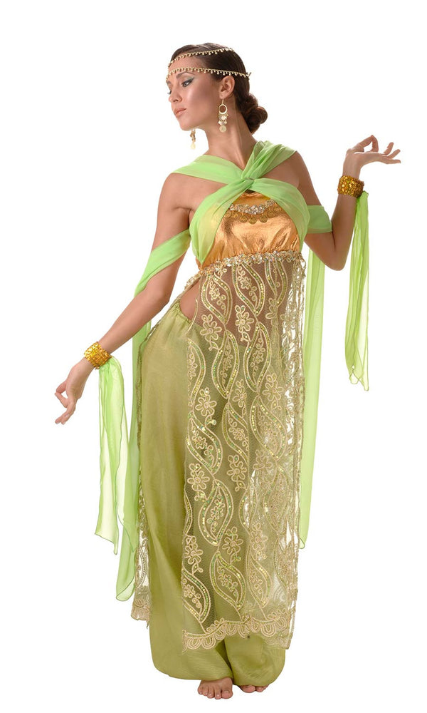 Alternate view of green belly dancing dress with chiffon bands and harem pants