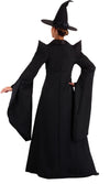 Back of Professor McGonagall costume coat, dress and hat