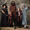 Professor McGonagall costume with Harry Potter group