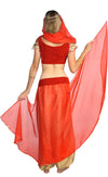 Back of belly dancer costume in red with chiffon veil