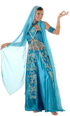 Blue belly dancer costume with pants, top, head scarf and arm bands